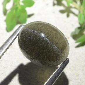 4.00カラットの天然緑がかった茶Cat's Eye Scapolite（10×8 mm・オーバルカット）