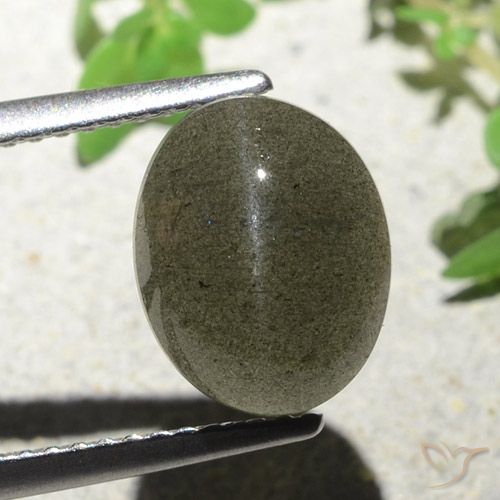 4.55ct 天然 ミディアムブラウン キャッツアイスキャポライト, 楕円形, 半透明