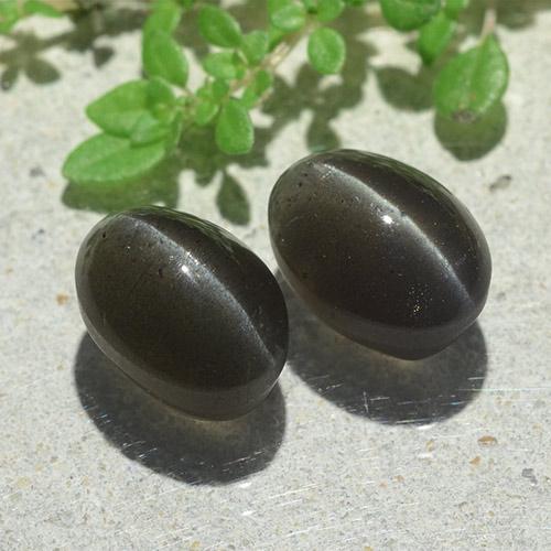6.12カラットの天然黒Cat's Eye Scapolite（9.6×7 mm・オーバルカット）