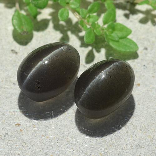 6.12カラットの天然黒Cat's Eye Scapolite（9.6×7 mm・オーバルカット）