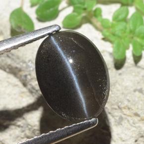 2.56カラットの天然黒Cat's Eye Scapolite（10.2×7.5 mm・オーバルカット）