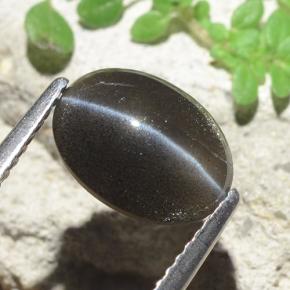 2.56カラットの天然黒Cat's Eye Scapolite（10.2×7.5 mm・オーバルカット）