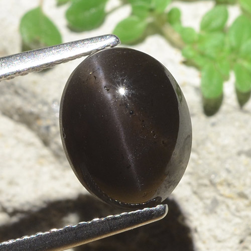 3.42カラットの天然ブラックキャッツアイスキャポライト、オーバルカット、半透明