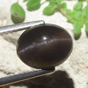 3.42カラットの天然ブラックキャッツアイスキャポライト、オーバルカット、半透明