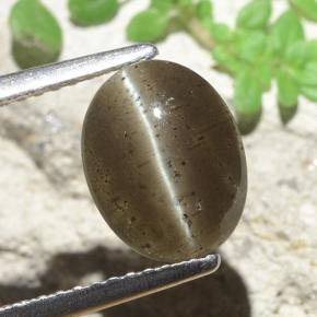 2.60カラットの天然ミディアムブラウンキャッツアイスキャポライト、オーバルカット、半透明