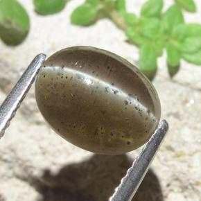 2.60カラットの天然ミディアムブラウンキャッツアイスキャポライト、オーバルカット、半透明