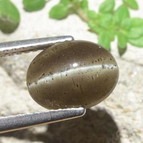 2.60カラットの天然ミディアムブラウンキャッツアイスキャポライト、オーバルカット、半透明