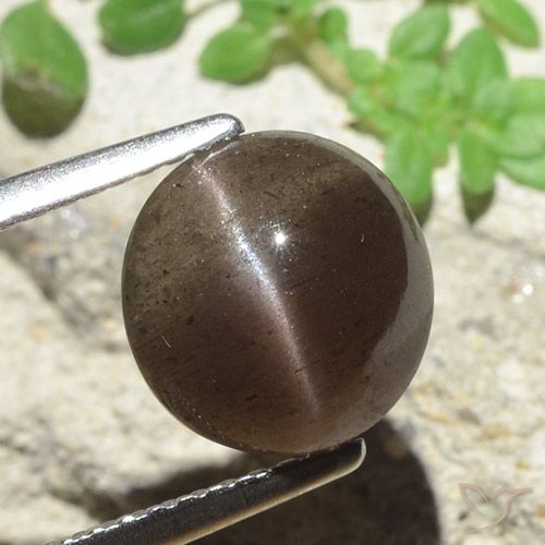 3.45ct 天然 アンバーブラウン キャッツアイスキャポライト, ラウンド, 半透明