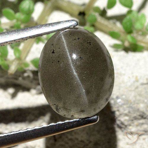 3.81ct 天然 ダークグレー キャッツアイスキャポライト, 楕円形, 半透明