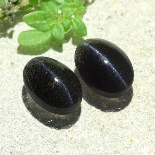 自然派の商品を探す 2.59ct ブラック キャッツアイスキャポライト 宝石, オーバルカット, マダガスカル からGemSelectで. 在庫あり、世界各国へ発送!