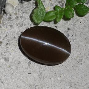 2.03カラットの天然ブラウンキャッツアイスキャポライト、オーバルカット、半透明