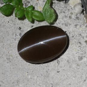 2.03カラットの天然ブラウンキャッツアイスキャポライト、オーバルカット、半透明