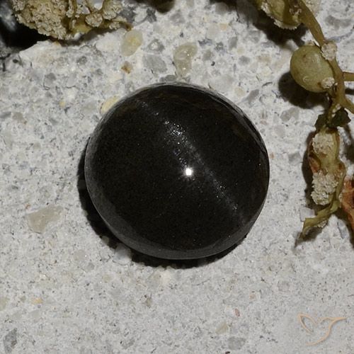 2.12ct 天然 ブラック キャッツアイスキャポライト, ラウンド, 半透明