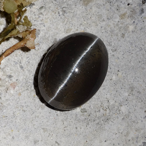 2.30カラットの天然ブラックキャッツアイスキャポライト、オーバルカット、半透明