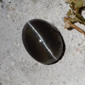 2.30カラットの天然ブラックキャッツアイスキャポライト、オーバルカット、半透明