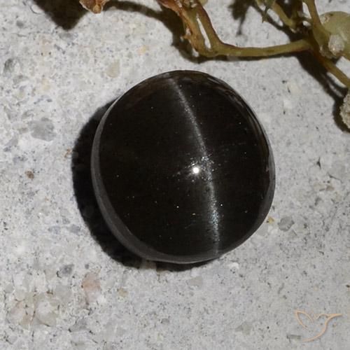 2.34ct 天然 ブラック キャッツアイスキャポライト, ラウンド, 半透明