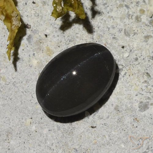 1.48ct 天然 ブラック キャッツアイスキャポライト, 楕円形, 半透明