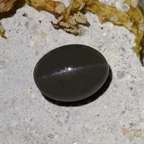 2.09ct 天然 ダーク灰色がかった黒 キャッツアイスキャポライト, 楕円形, 半透明