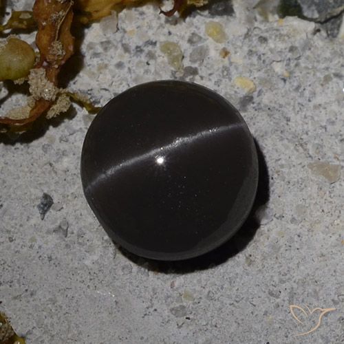 3.08ct 天然 ブラック キャッツアイスキャポライト, ラウンド, 半透明
