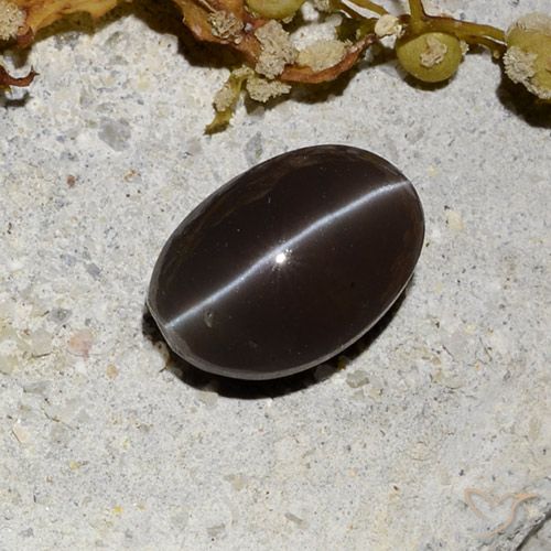 1.81ct 天然 ダークブラウン キャッツアイスキャポライト, 楕円形, 半透明
