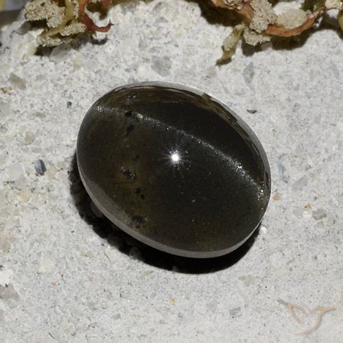 3.32ct 天然 ブラック キャッツアイスキャポライト, 楕円形, 半透明
