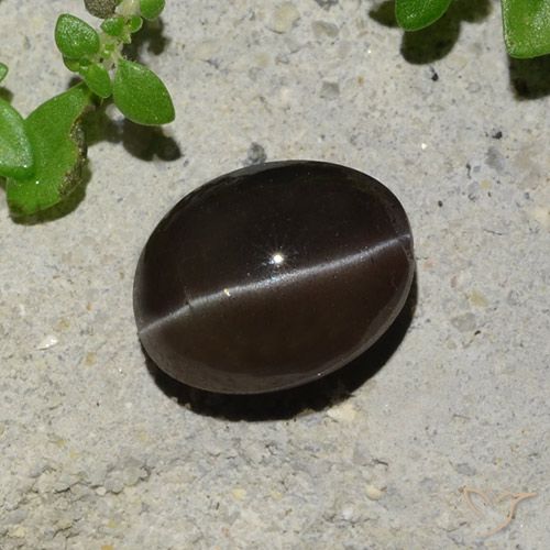 2.43ct 天然 チョコレートブラウン キャッツアイスキャポライト, 楕円形, 半透明
