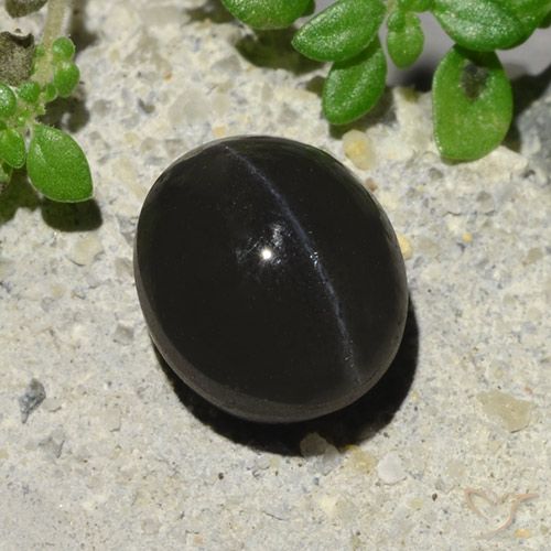 2.94ct 天然 ブラック キャッツアイスキャポライト, 楕円形, 半透明