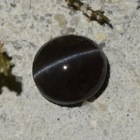 1.14カラットの天然黒Cat's Eye Scapolite（6.5×6 mm・オーバルカット）