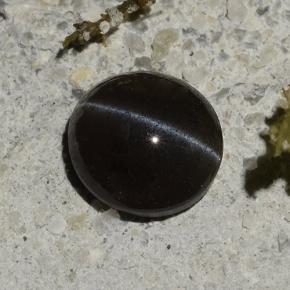 1.14カラットの天然黒Cat's Eye Scapolite（6.5×6 mm・オーバルカット）