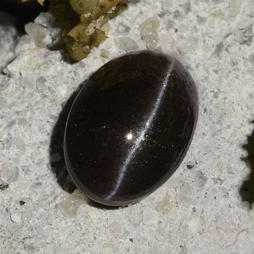 1.47カラットの天然ウォームブラックCat's Eye Scapolite（7.9×5.6 mm・オーバルカット）