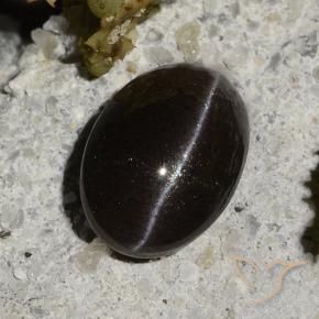 1.47カラットの天然ウォームブラックCat's Eye Scapolite（7.9×5.6 mm・オーバルカット）