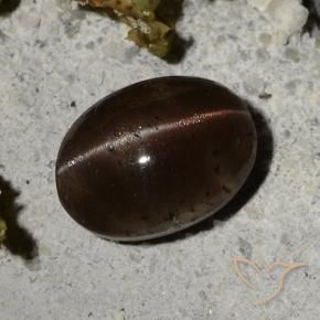 2.44カラットの天然ダークブラウンCat's Eye Scapolite（9×6.6 mm・オーバルカット）