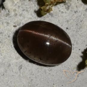 2.44カラットの天然ダークブラウンCat's Eye Scapolite（9×6.6 mm・オーバルカット）