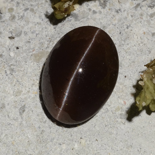 2.16カラットの天然ダークブラウンCat's Eye Scapolite（9.2×6.7 mm・オーバルカット）