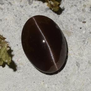 2.16カラットの天然ダークブラウンCat's Eye Scapolite（9.2×6.7 mm・オーバルカット）