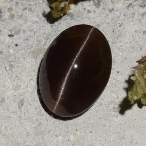 2.16カラットの天然ダークブラウンCat's Eye Scapolite（9.2×6.7 mm・オーバルカット）