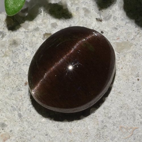 2.04ct 天然 ダークブラウン キャッツアイスキャポライト, 楕円形, 半透明