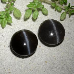 3.46カラットの天然黒Cat's Eye Scapolite（8.31 mm・ラウンドカット）