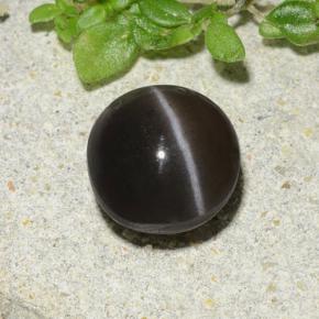 1.96カラットの天然ブラウンキャッツアイスキャポライト、ラウンドカット、半透明