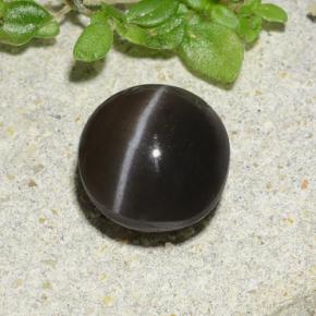 1.96カラットの天然ブラウンキャッツアイスキャポライト、ラウンドカット、半透明