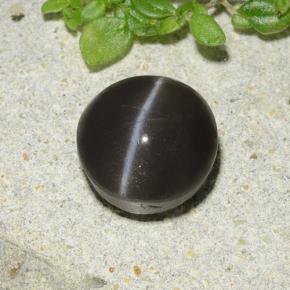 2.49カラットの天然黒Cat's Eye Scapolite（8.07 mm・ラウンドカット）