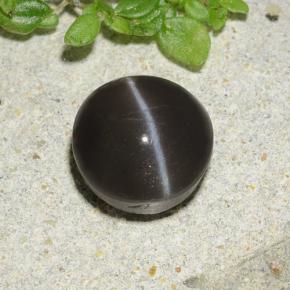 2.49カラットの天然黒Cat's Eye Scapolite（8.07 mm・ラウンドカット）