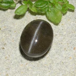 1.46カラットの天然黒Cat's Eye Scapolite（7.3×5.7 mm・オーバルカット）
