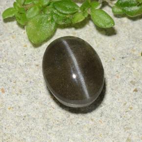 1.46カラットの天然黒Cat's Eye Scapolite（7.3×5.7 mm・オーバルカット）
