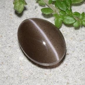2.20カラットの天然ブラウンCat's Eye Scapolite（9.4×7.1 mm・オーバルカット）
