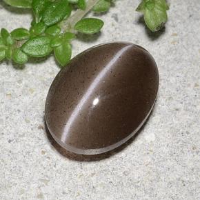 2.20カラットの天然ブラウンCat's Eye Scapolite（9.4×7.1 mm・オーバルカット）