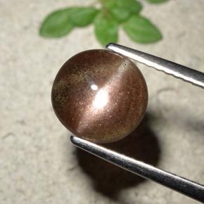 1.76カラットの天然赤みがかった茶Cat's Eye Scapolite（8.36 mm・ラウンドカット）