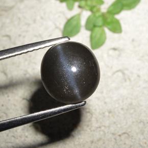 3.23カラットの天然黒Cat's Eye Scapolite（8.93 mm・ラウンドカット）