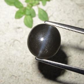 3.23カラットの天然黒Cat's Eye Scapolite（8.93 mm・ラウンドカット）