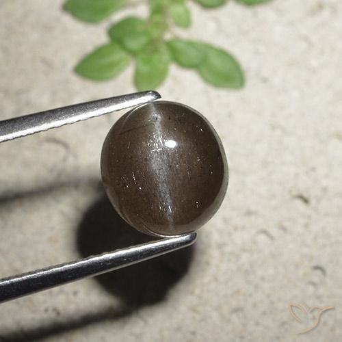 2.56ct 天然 ミディアムブラウン キャッツアイスキャポライト, ラウンド, 半透明